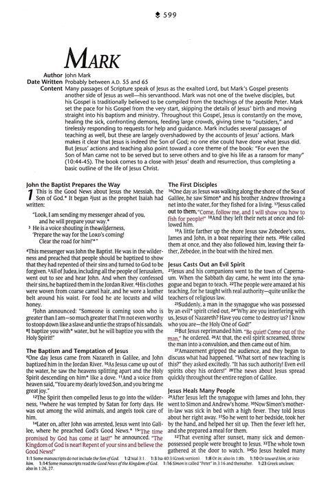 NLT Premium Gift Bible, Filament Enabled LeatherLike