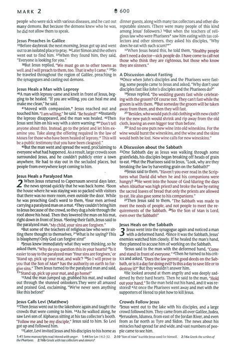 NLT Premium Gift Bible, Filament Enabled LeatherLike
