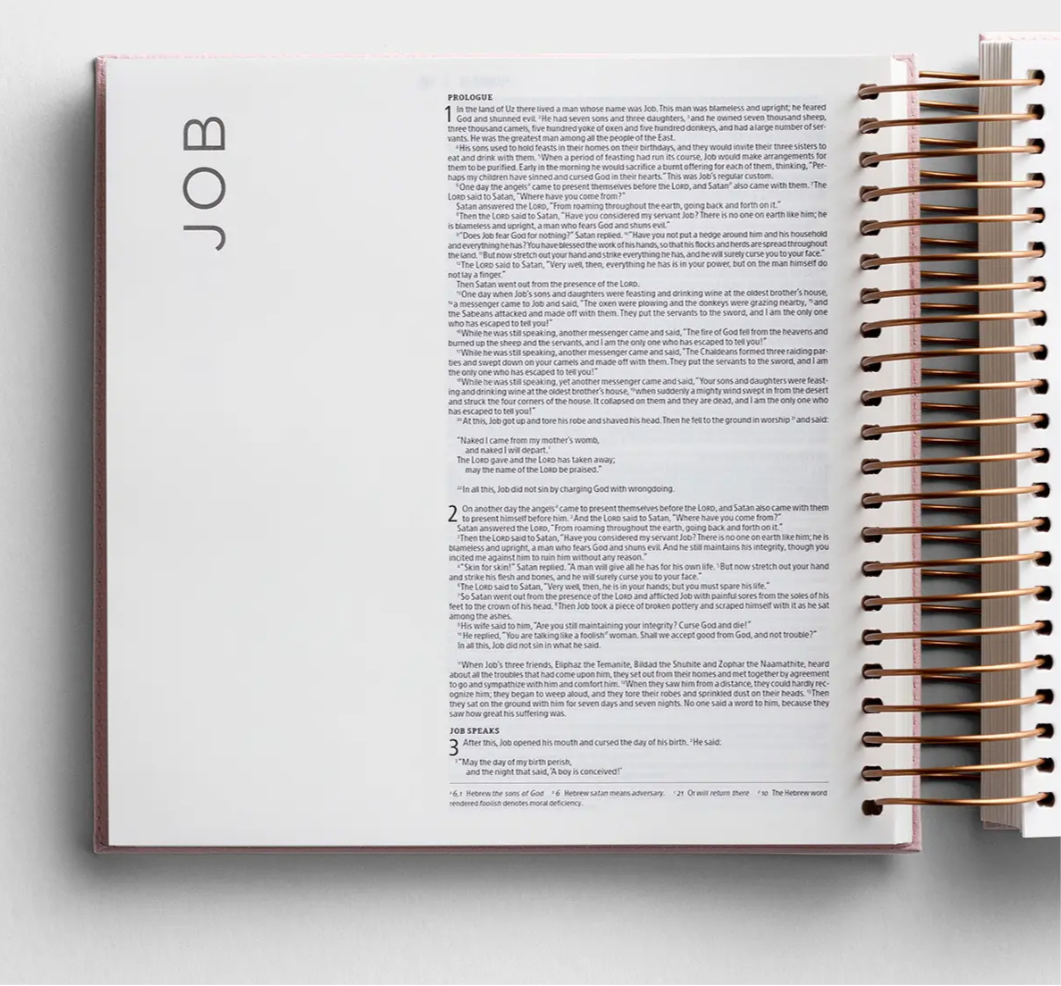 NIV - Illustrating Bible - Pink