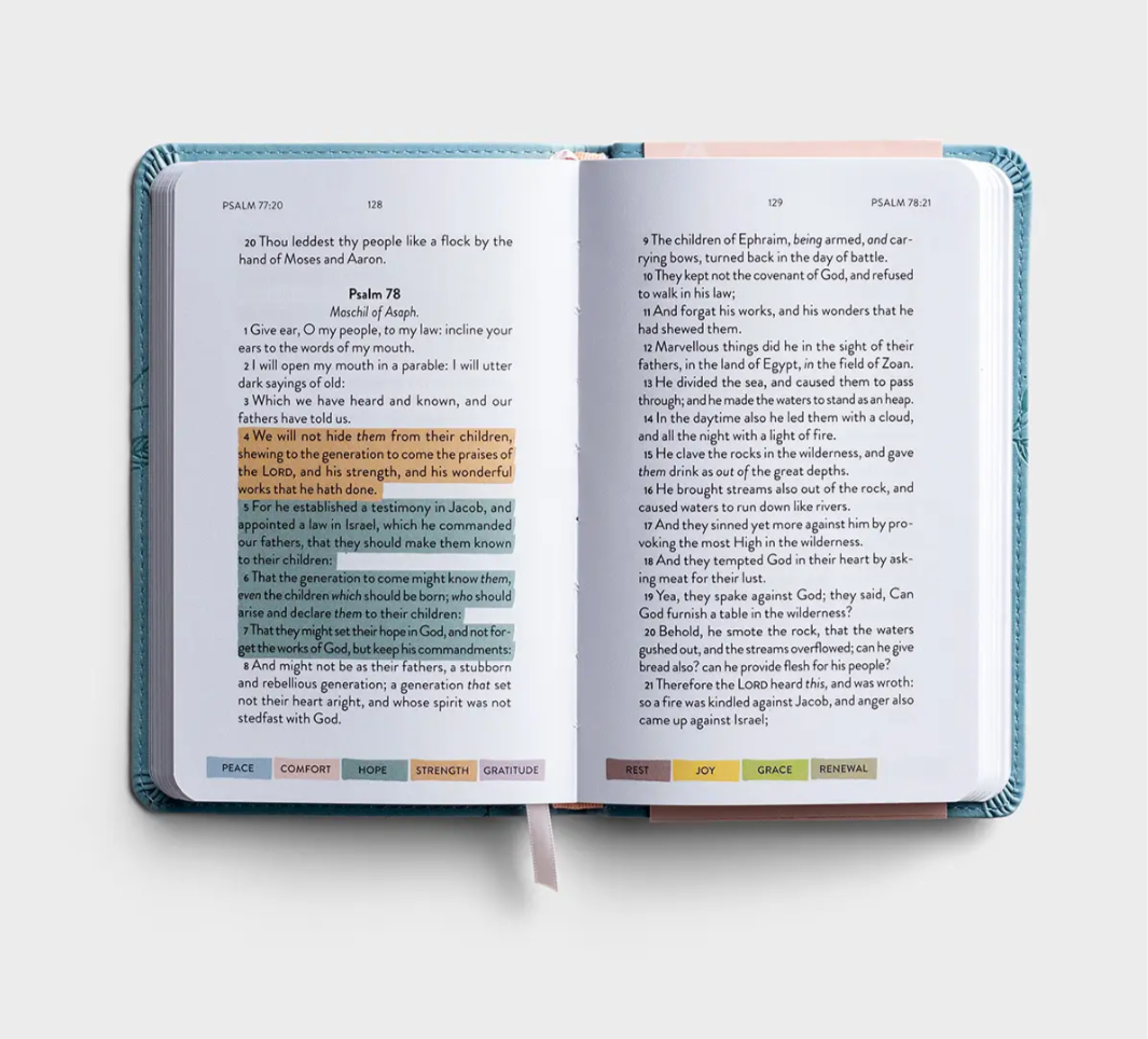 Sanctuary in the Psalms - KJV Scripture Book- Blue