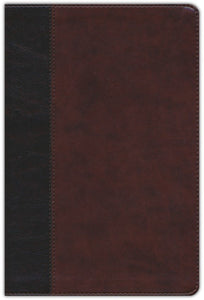 ESV Large Print Thinline Reference Bible