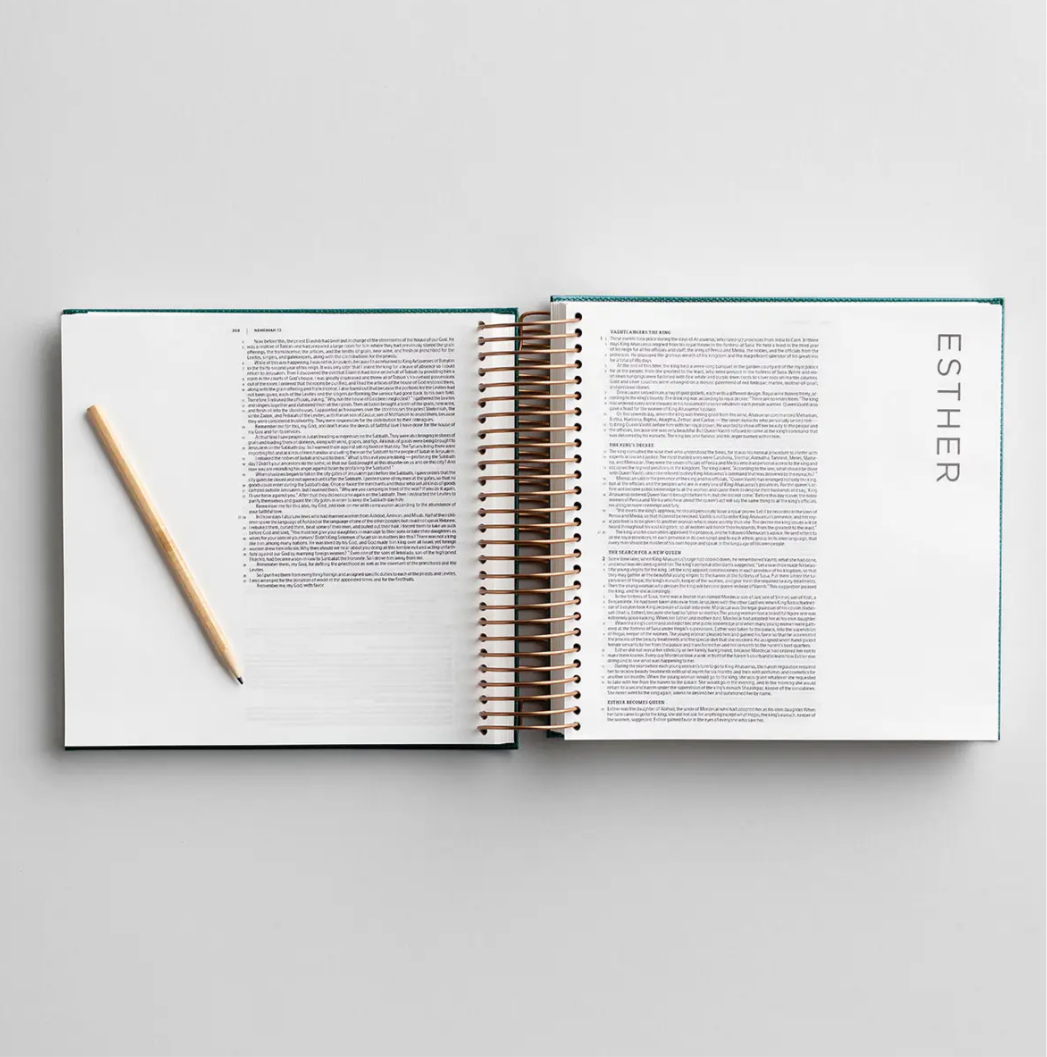 CSB - Illustrating Bible - Green