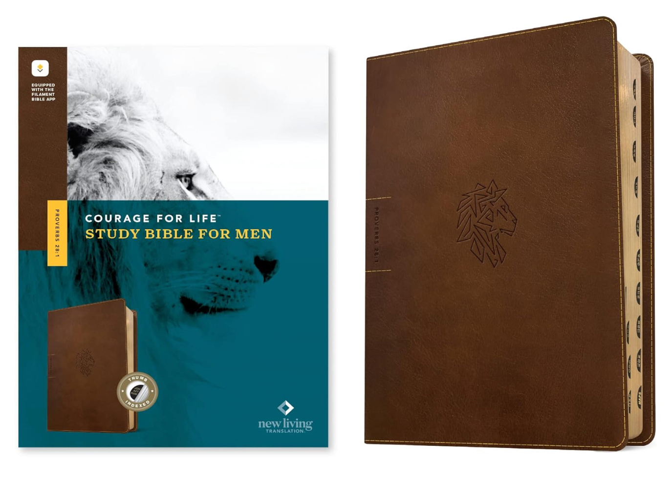 NLT Courage for Life Study Bible for Men