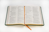 NLT Premium Value Thinline Bible, Filament Enabled (LeatherLike, Bouquet Teal)