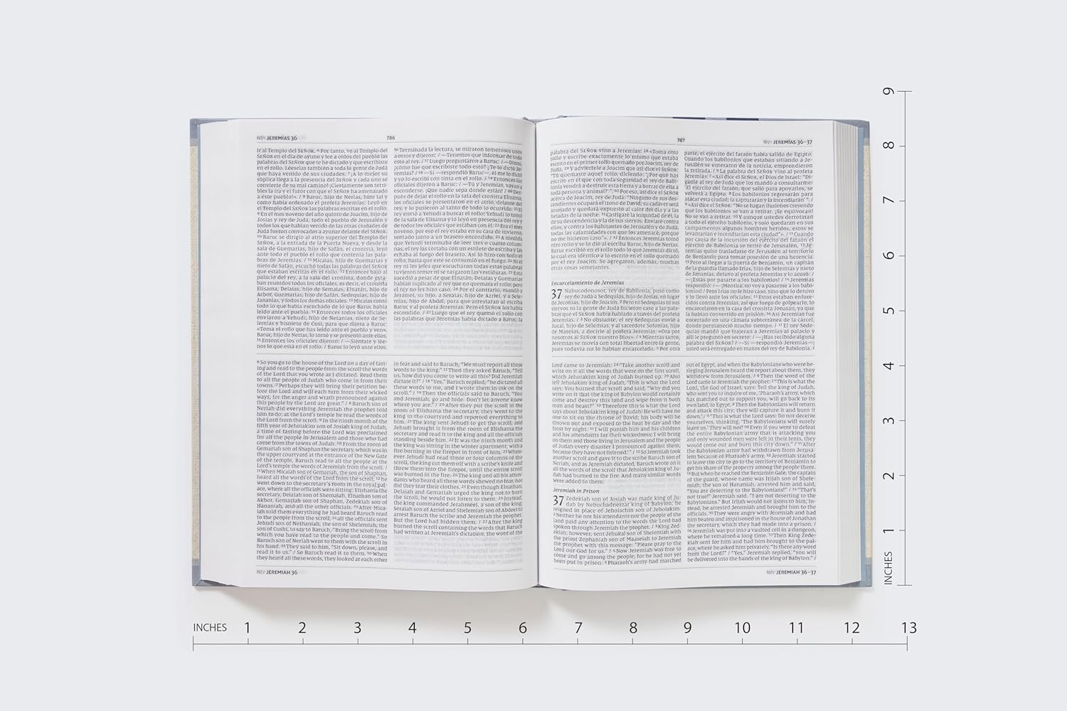 NIV/NVI, Bilingual Bible, Revised Text 2022, Hardcover / NIV/NVI, Biblia Bilingüe, Revisión 2022, Tapa dura (Spanish Edition)