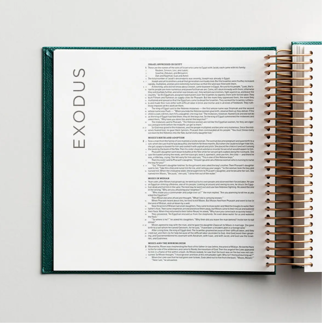 CSB - Illustrating Bible - Green