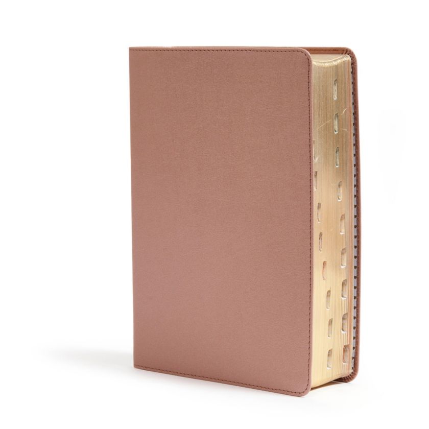 CSB She Reads Truth Bible, Rose Gold LeatherTouch, Indexed