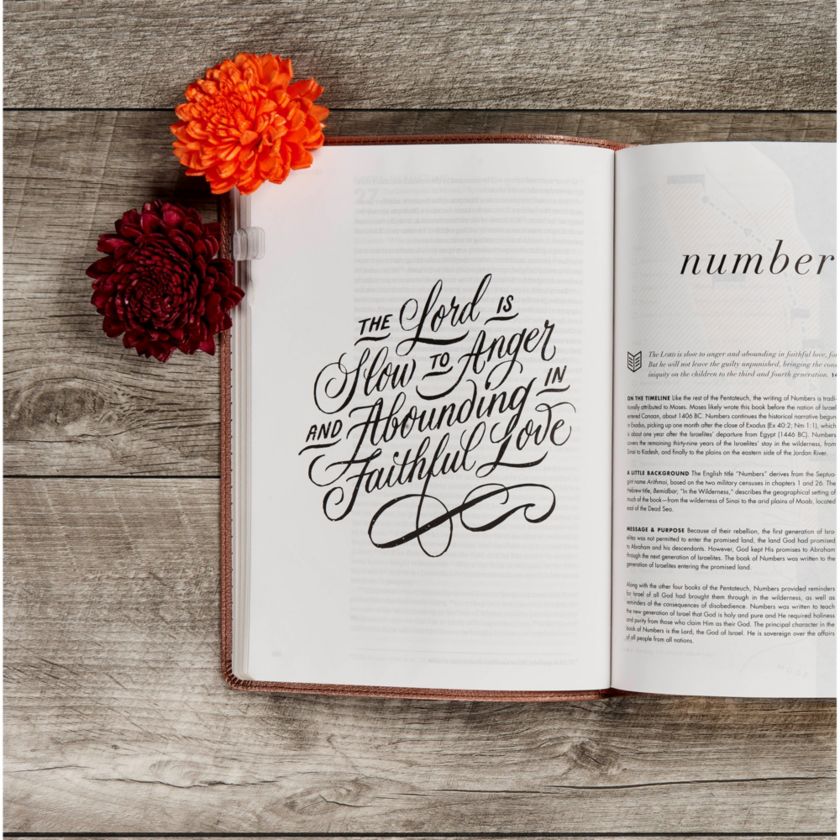 CSB She Reads Truth Bible, Rose Gold LeatherTouch, Indexed