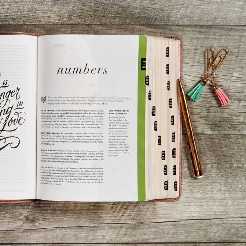 CSB She Reads Truth Bible, Rose Gold LeatherTouch, Indexed