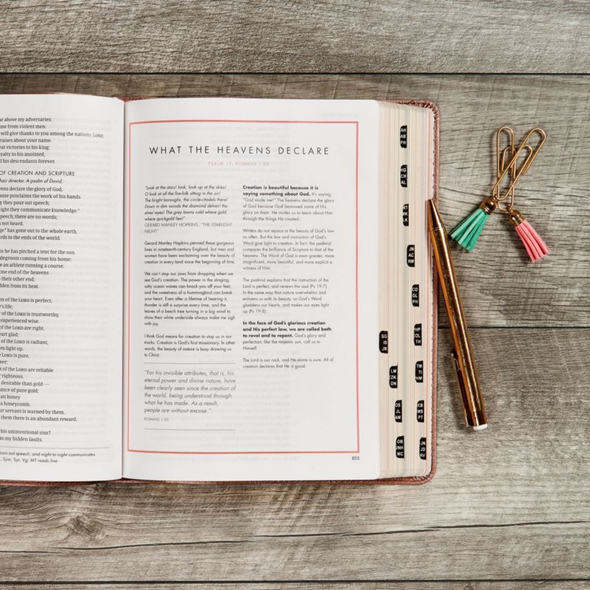 CSB She Reads Truth Bible, Rose Gold LeatherTouch, Indexed