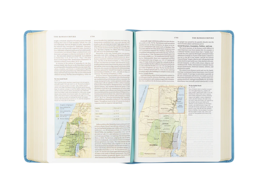 ESV STUDY BIBLE: BETHANY THEME