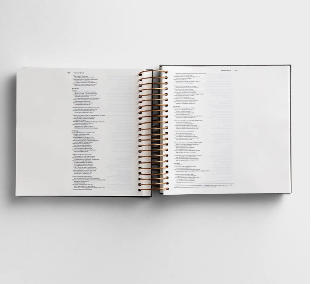 NIV - Illustrating Bible - Dark Gray