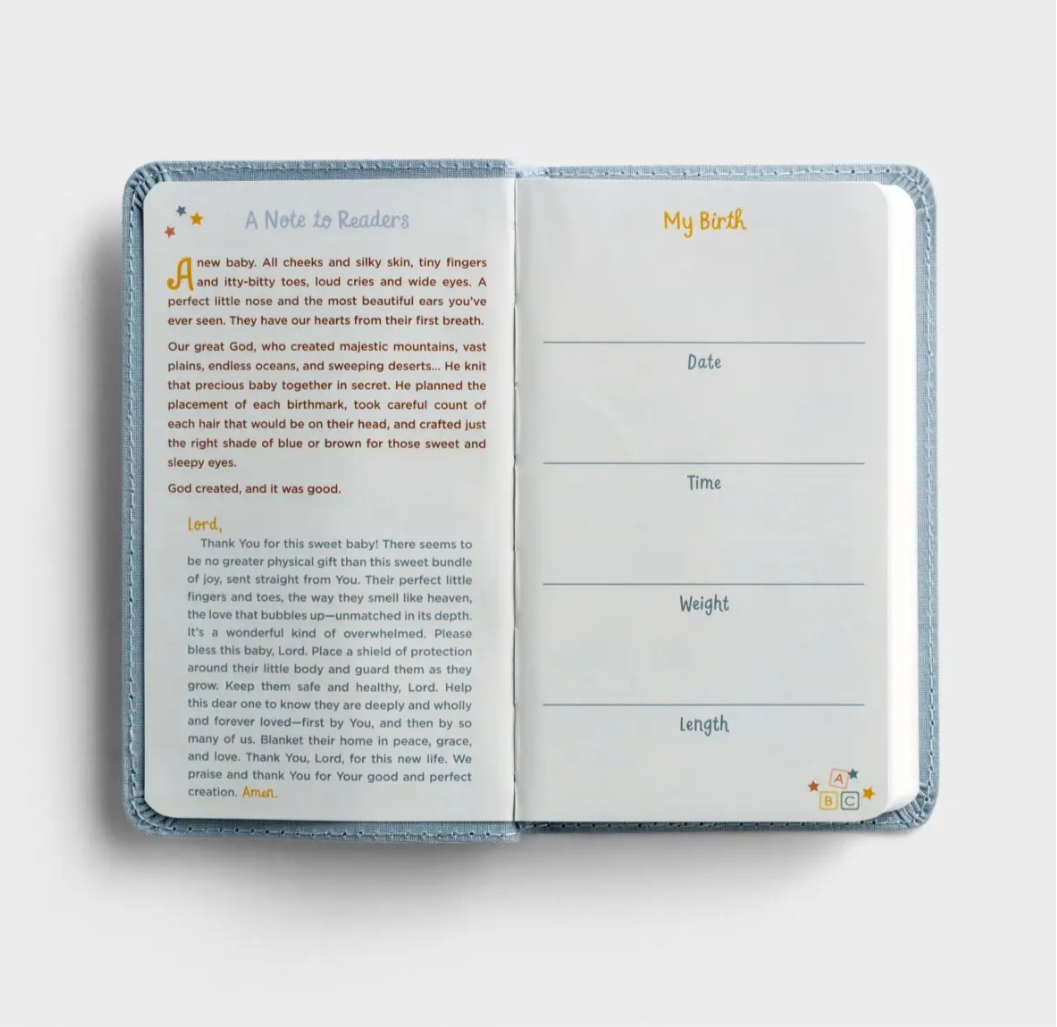 KJV - Wonderfully Made: Baby Boy's First Bible