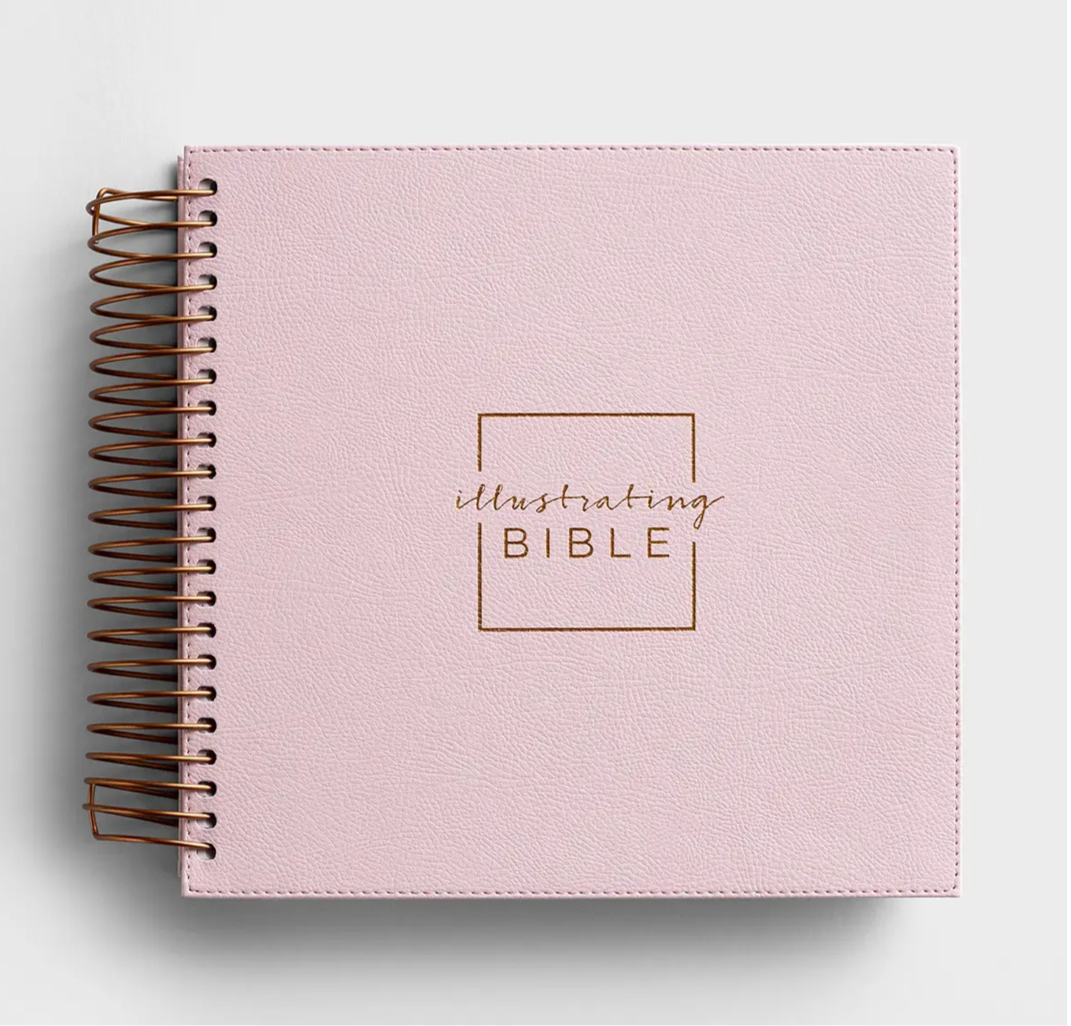 NIV - Illustrating Bible - Pink
