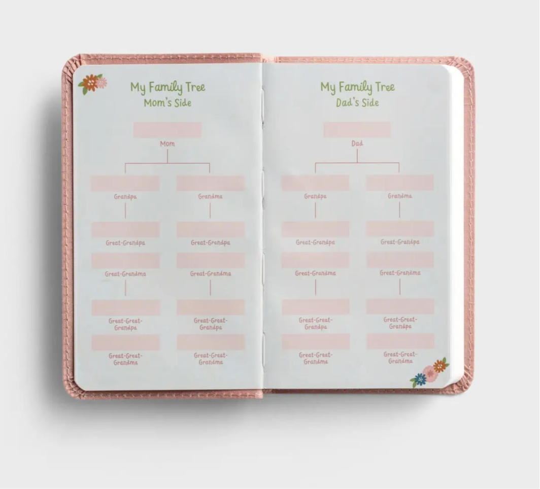 KJV - Wonderfully Made: Baby Girl's First Bible