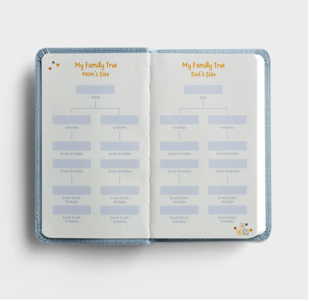 KJV - Wonderfully Made: Baby Boy's First Bible