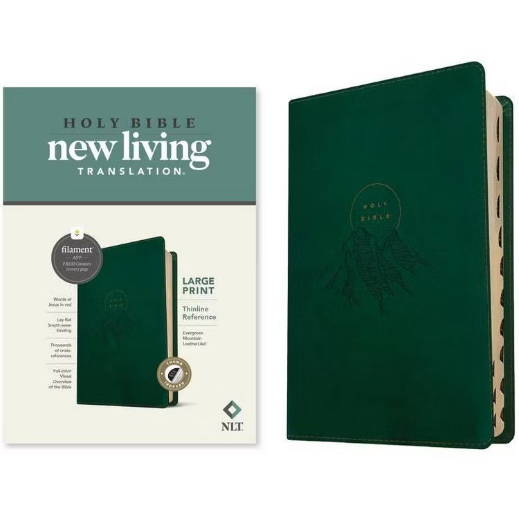 NLT large print Evergreen Mountain
