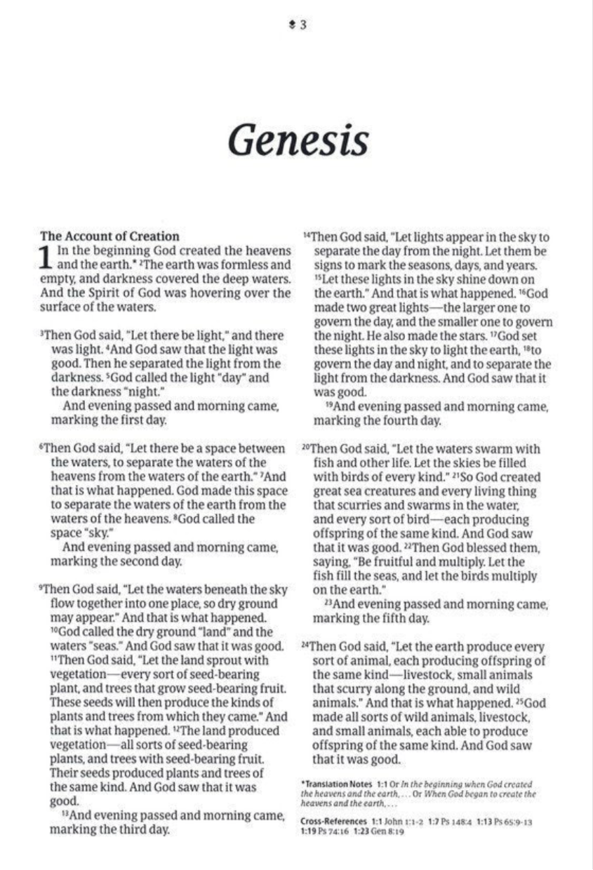 NLT Giant-Print Personal-Size Bible, Filament Enabled Edition--soft LeatherLike Peony/pink