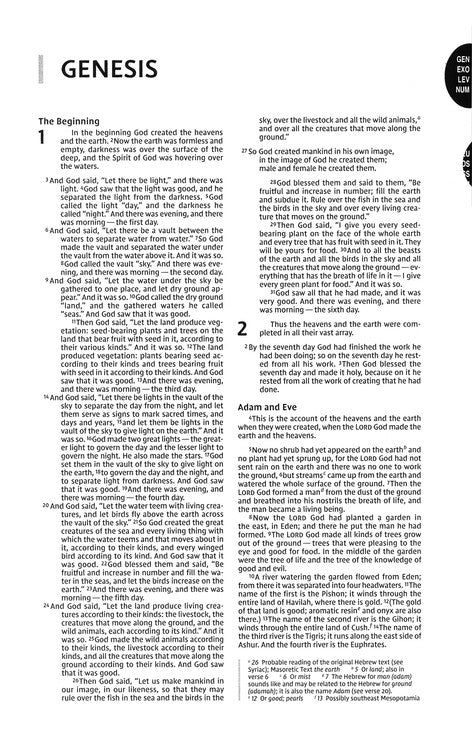 NIV Premium Gift Bible Leathersoft Brown