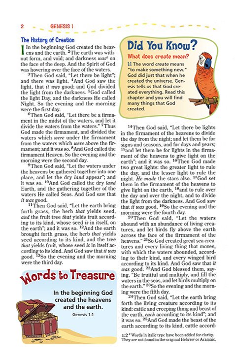 NKJV Adventure Bible Gray