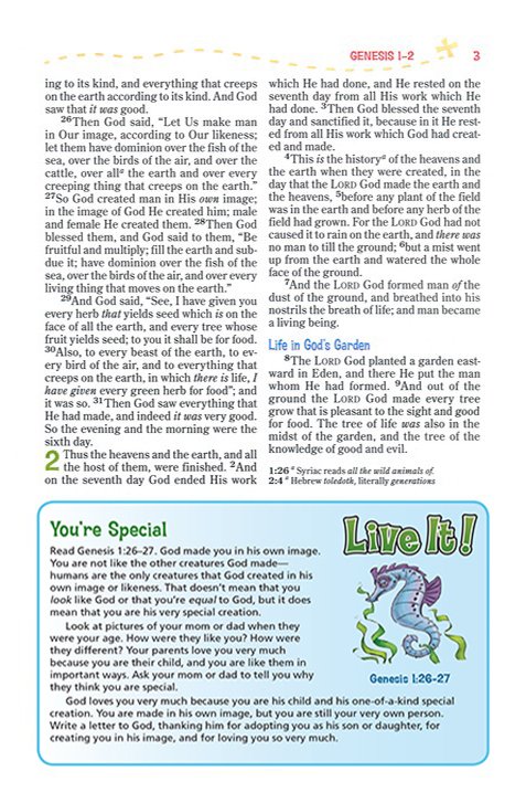 NKJV Adventure Bible Gray