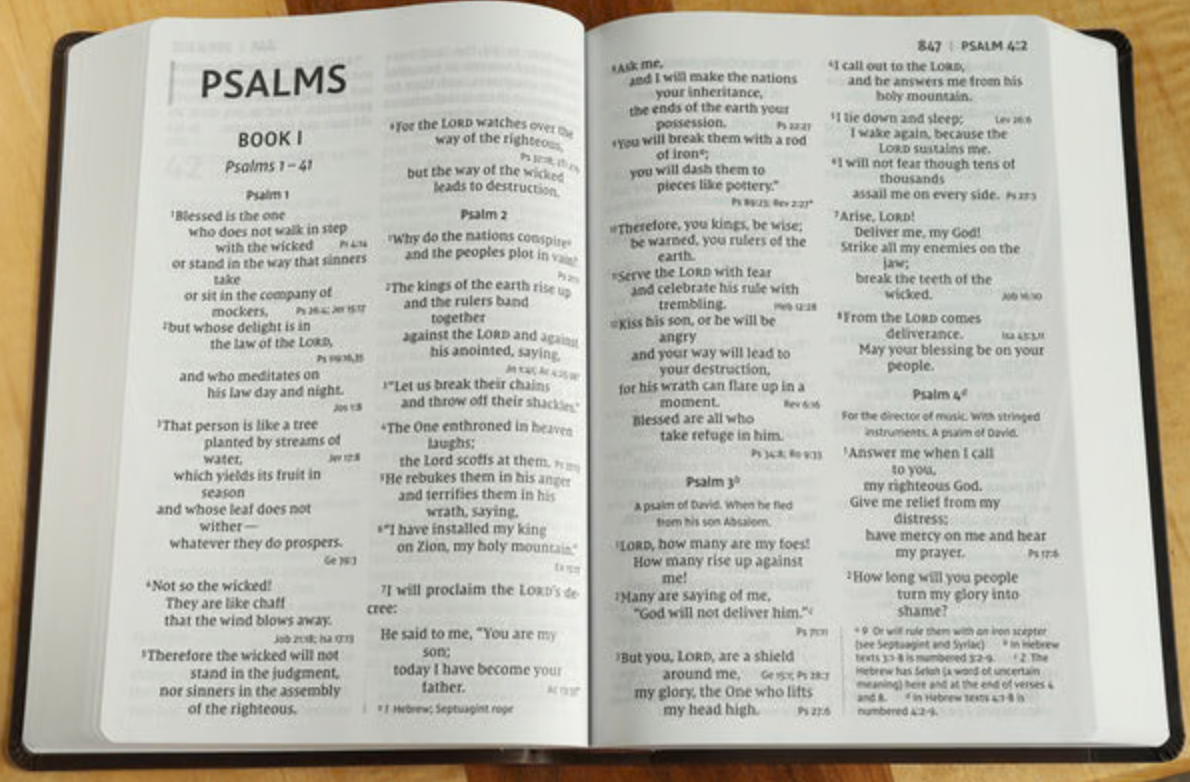 NIV Super Giant Print Reference Bible