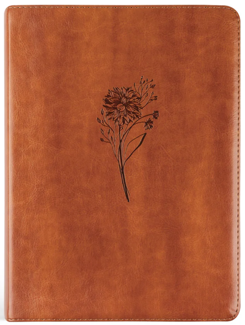 ESV Large Print Journaling Bible: Sierra Theme