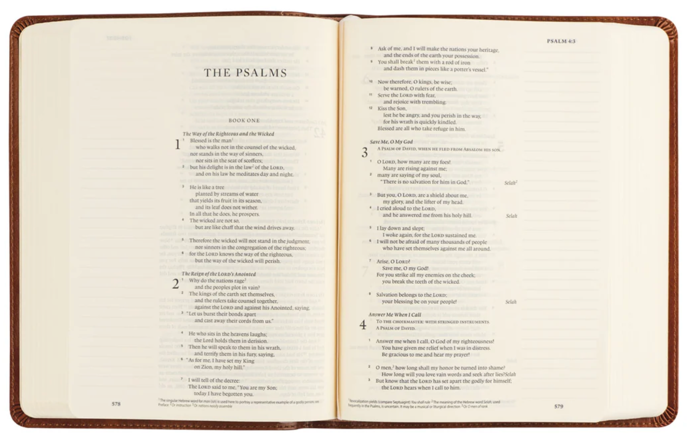 ESV Large Print Journaling Bible: Sierra Theme