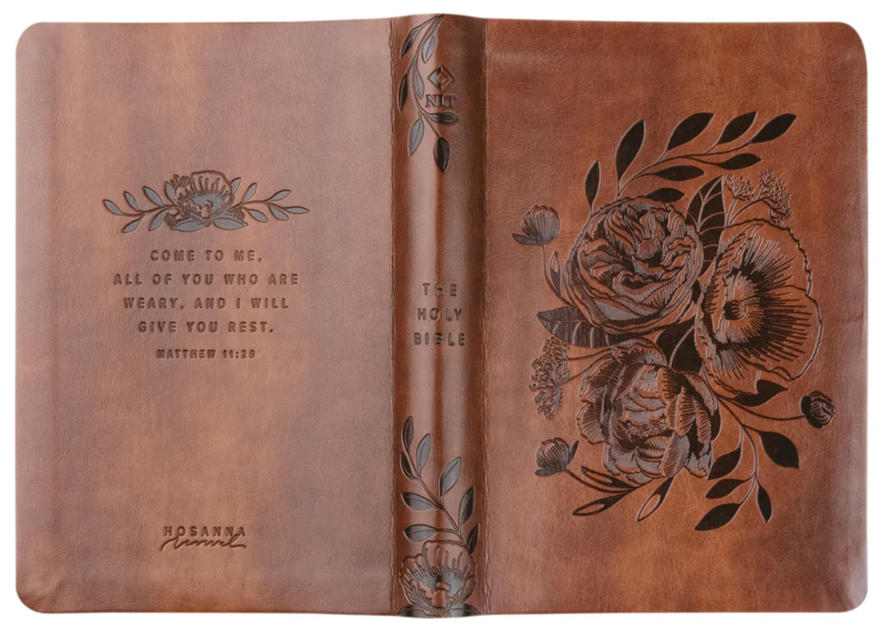 NLT Compact Bible: Aurora Theme
