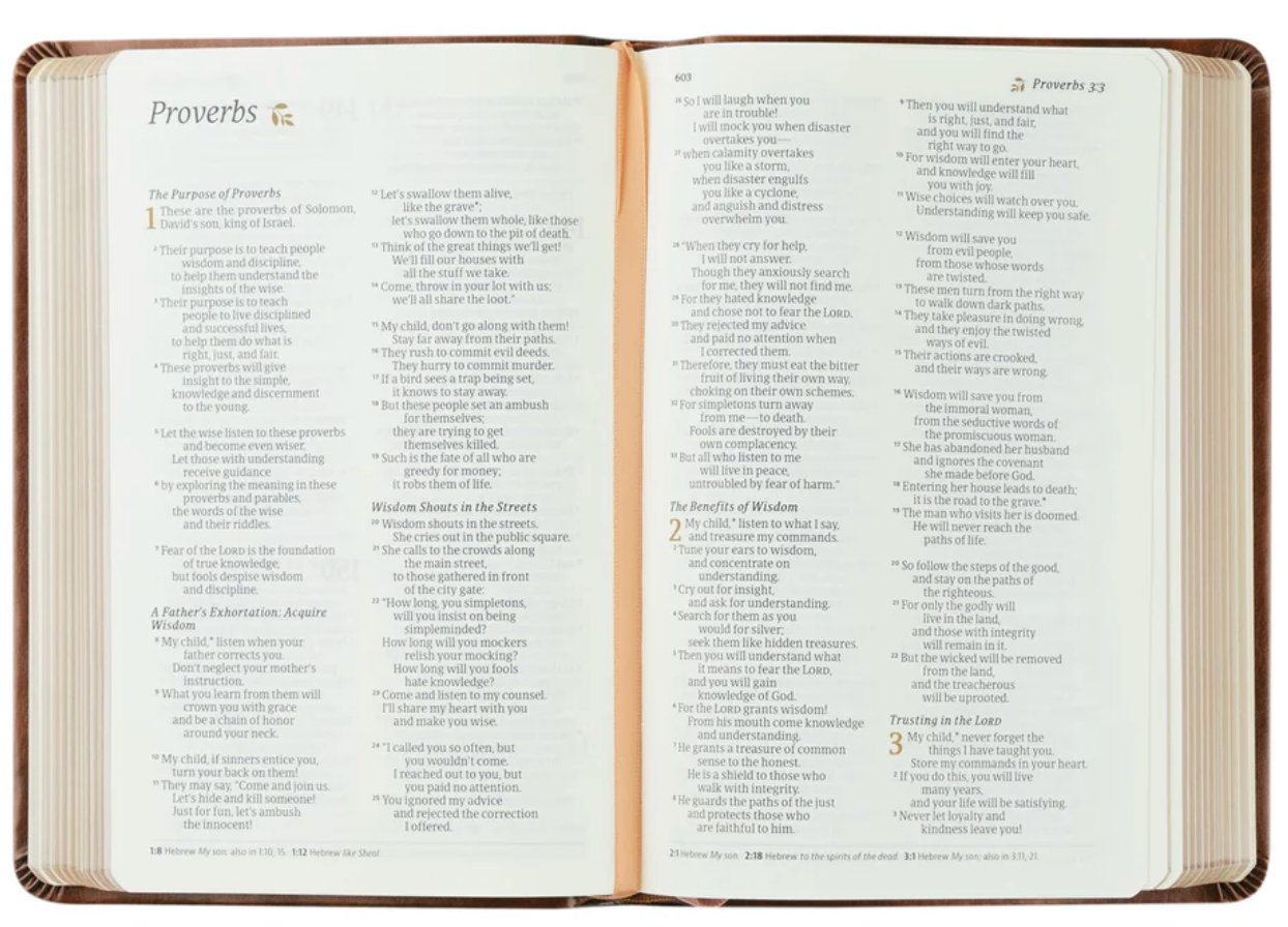 NLT Compact Bible: Aurora Theme