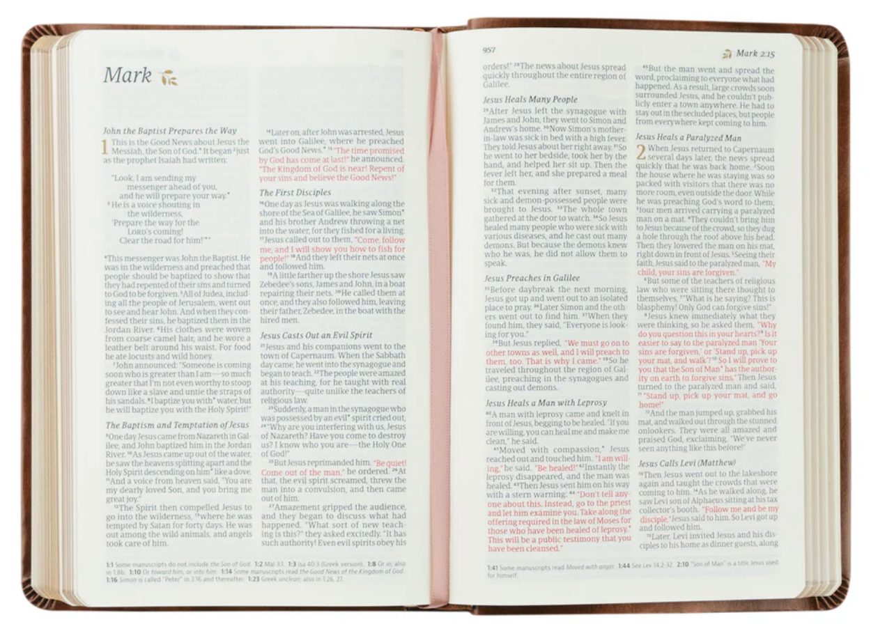 NLT Compact Bible: Aurora Theme