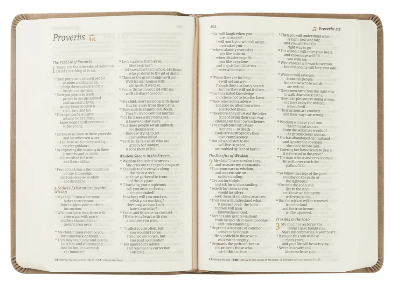 NLT Compact Bible: Marlo Theme