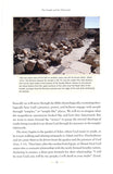 The Temple and the Tabernacle: A Study of God's Dwelling Places from Genesis to Revelation -  J. Daniel Hays