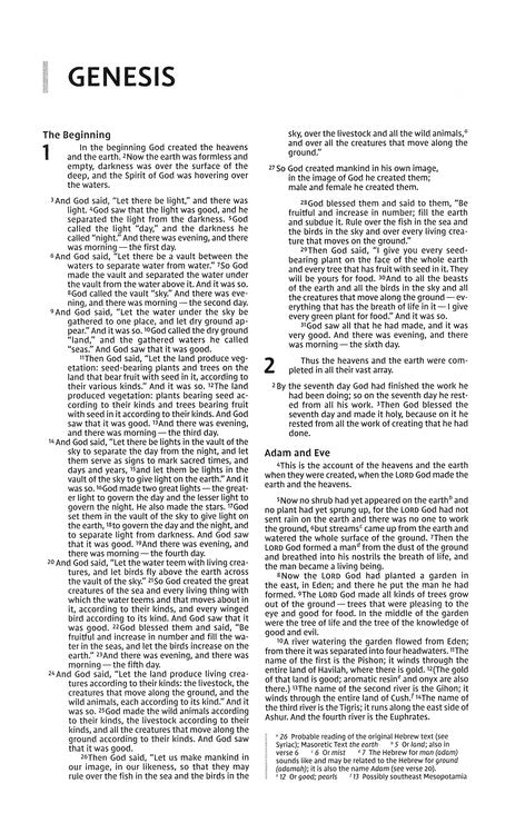 NIV, Premium Gift Bible, Leathersoft, Brown, Comfort Print