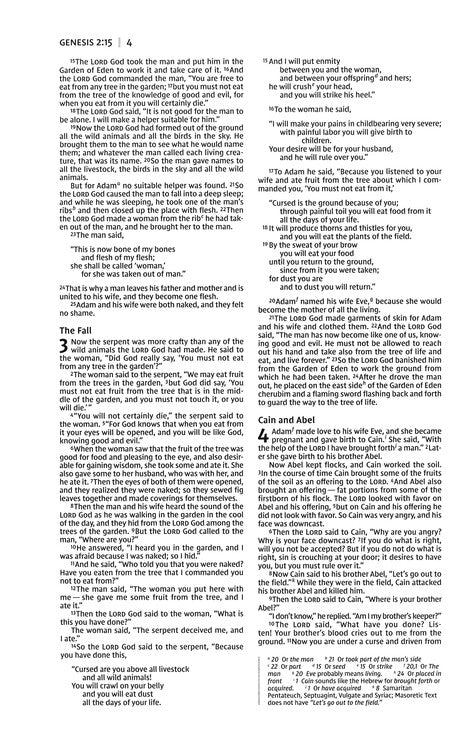 NIV, Premium Gift Bible, Leathersoft, Brown, Comfort Print