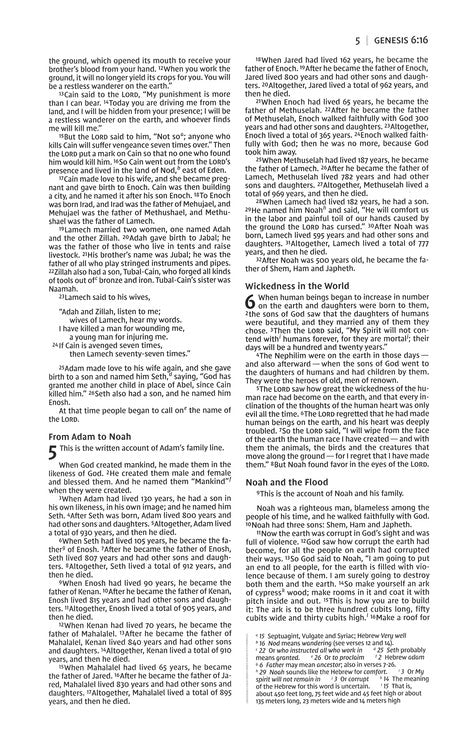 NIV, Premium Gift Bible, Leathersoft, Brown, Comfort Print