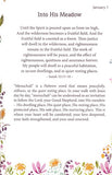 Meet Me in the Meadow Devotional Leather Bound – Roy Lessin