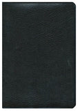 Biblia Plenitud RVR 1960, Piel Fabricada Negro (RVR 1960 Spirit-Filled Study Bible, B. Leather Black)
