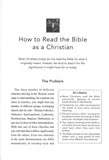 God's Plan Fulfilled: A Guide for Understanding the New Testament - Kenneth Schenck