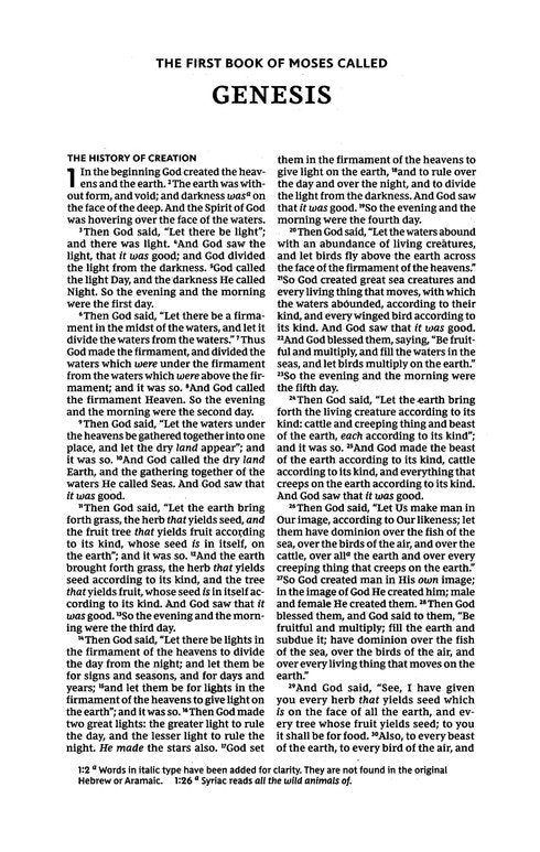 NKJV, Thinline Youth Edition Bible, Verse Art Cover Collection, Leathersoft, Red Letter, Comfort Print