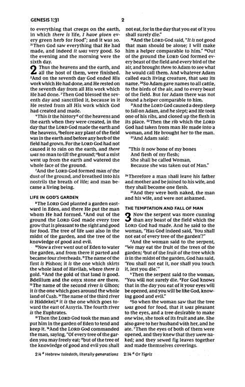 NKJV, Thinline Youth Edition Bible, Verse Art Cover Collection, Leathersoft, Red Letter, Comfort Print