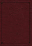 NKJV Comfort Print Study Bible, Imitation Leather, crimson, indexed