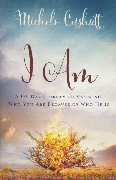 I Am: A 60-Day Journey to Knowing Who You Are Because of Who He Is - Michele Cushatt