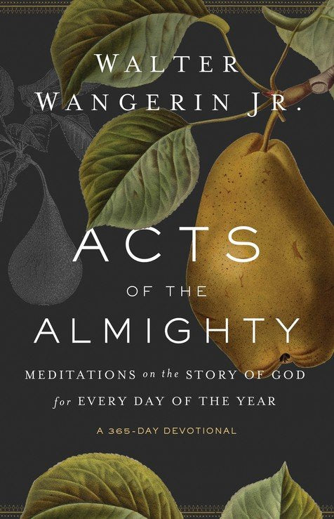Acts of the Almighty: Meditations on the Story of God for Every Day of the Year Paperback – Walter Wangerin Jr.