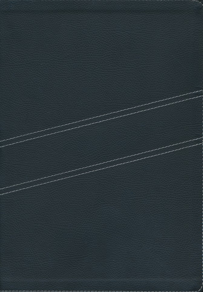 NTV Biblia de Estudio del Diario Vivir, Black Letra Grande LeatherLike