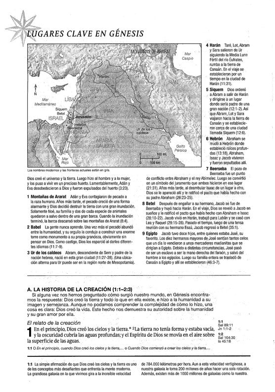 NTV Biblia de Estudio del Diario Vivir, Black Letra Grande LeatherLike