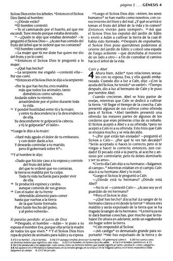 Santa Biblia NTV, Edicion Compacta, Enc. Rustica (NTV Holy Bible, Compact Edition, Softcover)