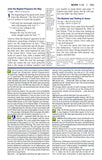 NIV Study Bible, Soft Leather-look, Tan/Blue Thumb-indexed
