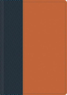 NTV Biblia de estudio del diario vivir LeatherLike, Blue/Tan Indexed