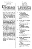 NIV and The Message Side-by-Side Bible, Two Bible Versions Together for Study and Comparison, Bonded Leather, Black, Large Print